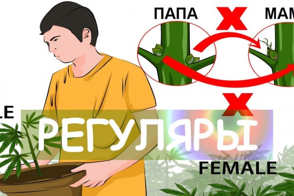 Гидра альтернатива