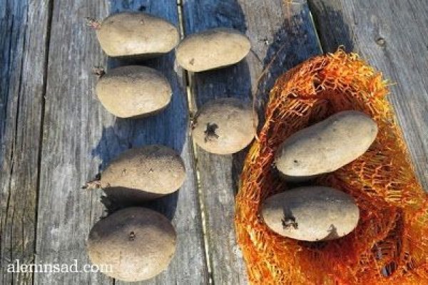 Пользователь не найден кракен что делать