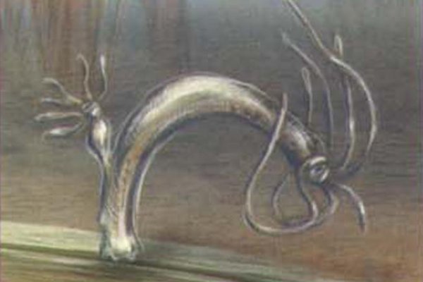 Kraken настоящая ссылка