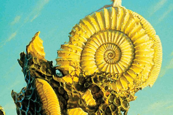 Как зайти на кракен даркнет