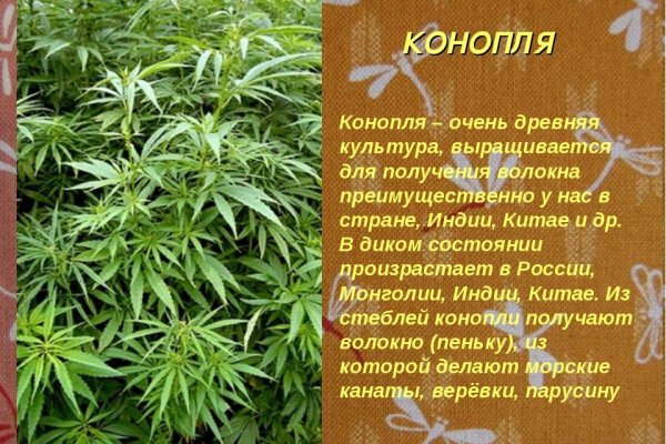 Кракен макет плейс