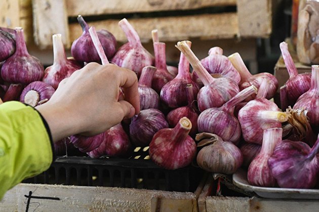 Kraken маркетплейс официальный